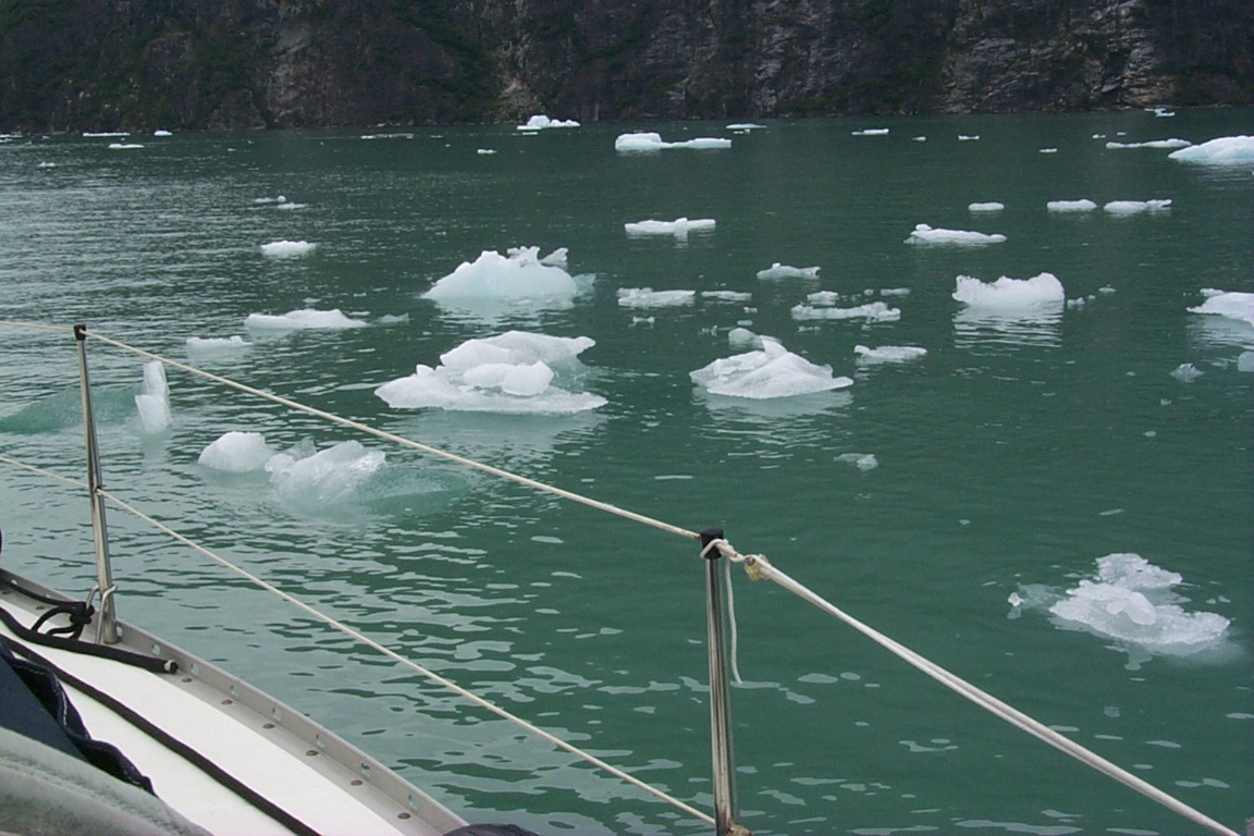 Tracy Arm ice bergs.jpg