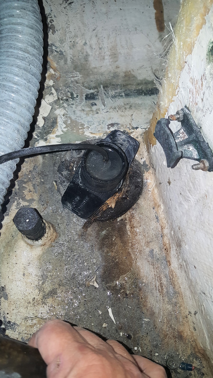 Transducer_2.jpg