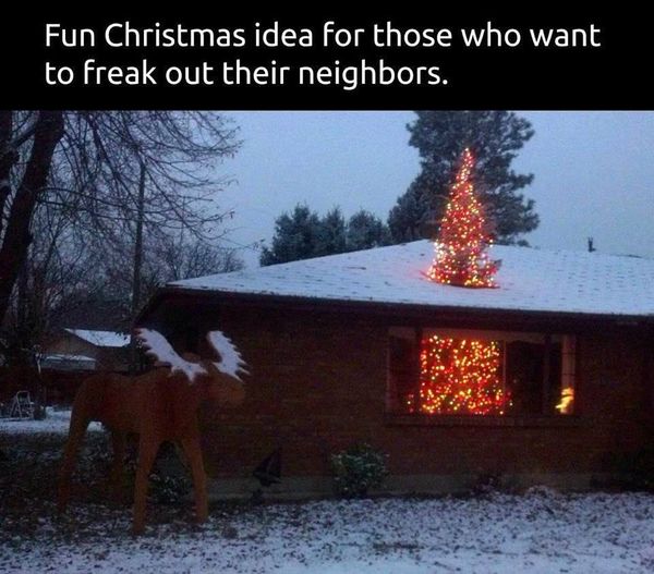 tree.jpg