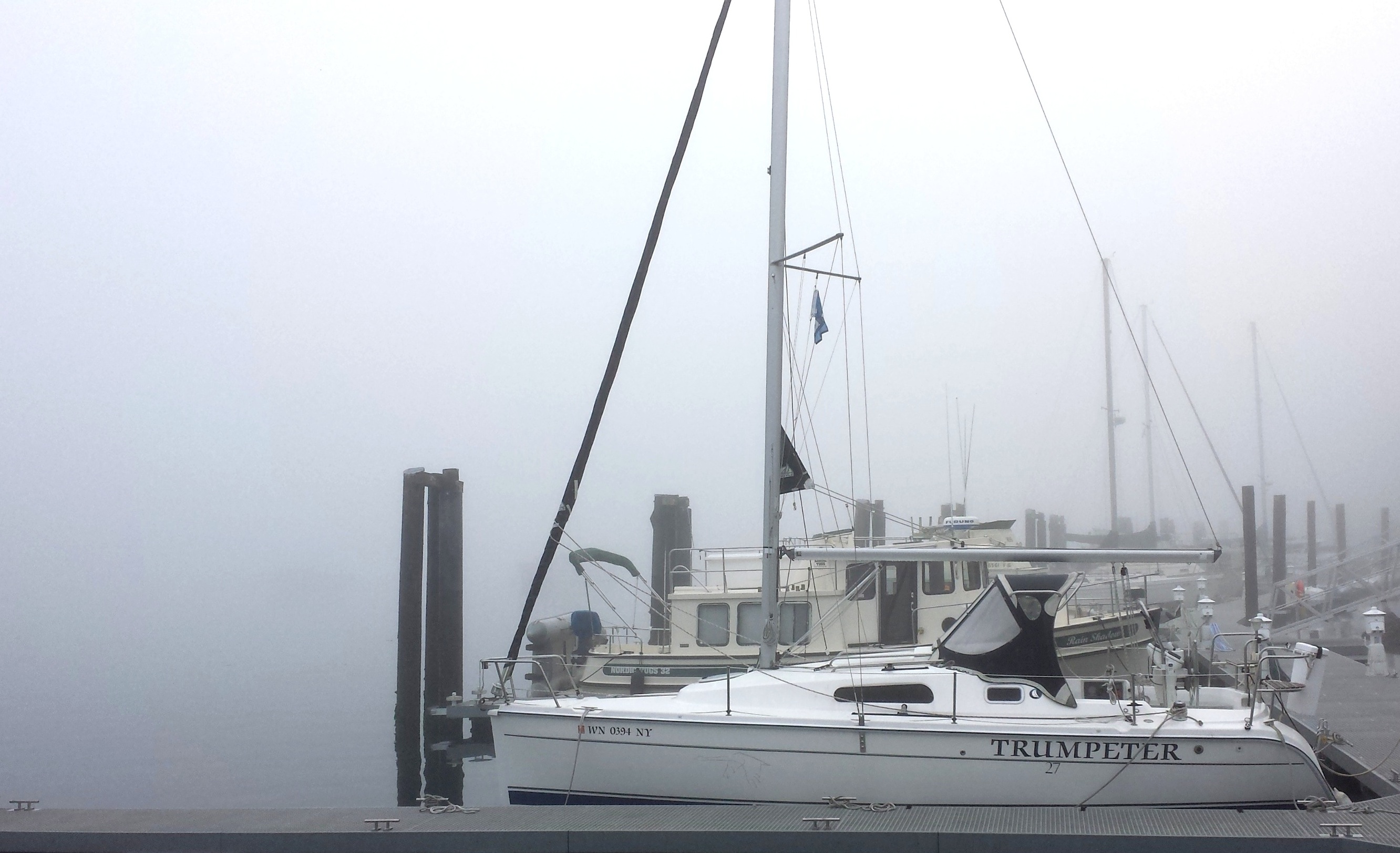 trumpeter-fog.jpeg