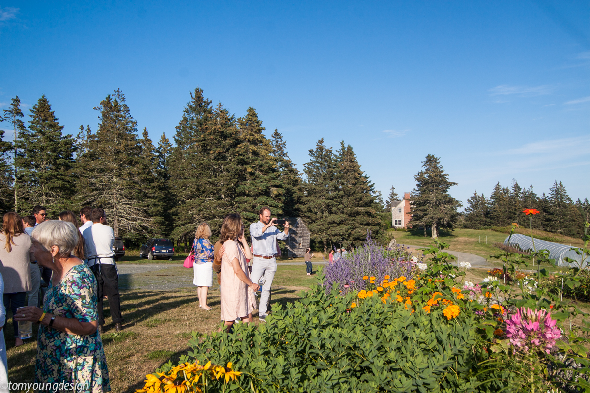Turner Farm flowers.jpg