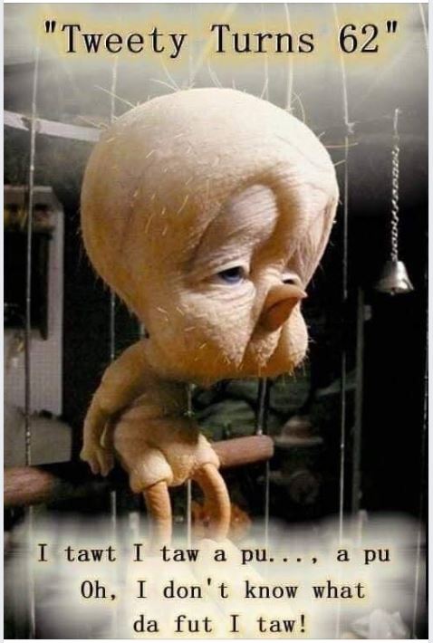 Tweety 62.JPG