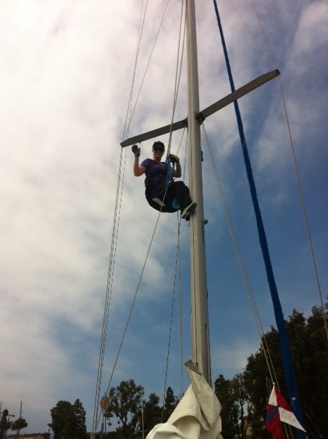 Up the mast.jpg