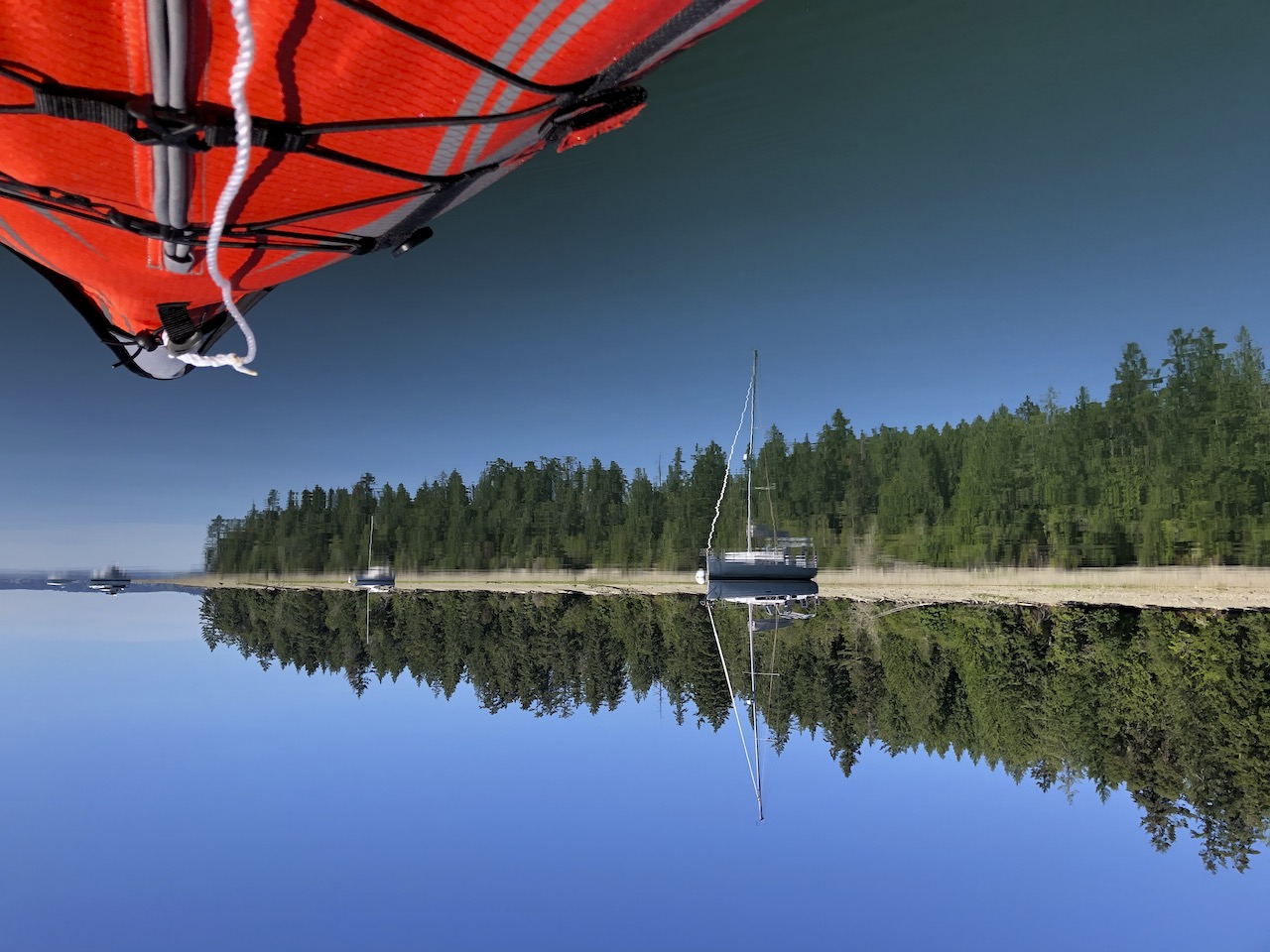 Upside down - 1.jpeg