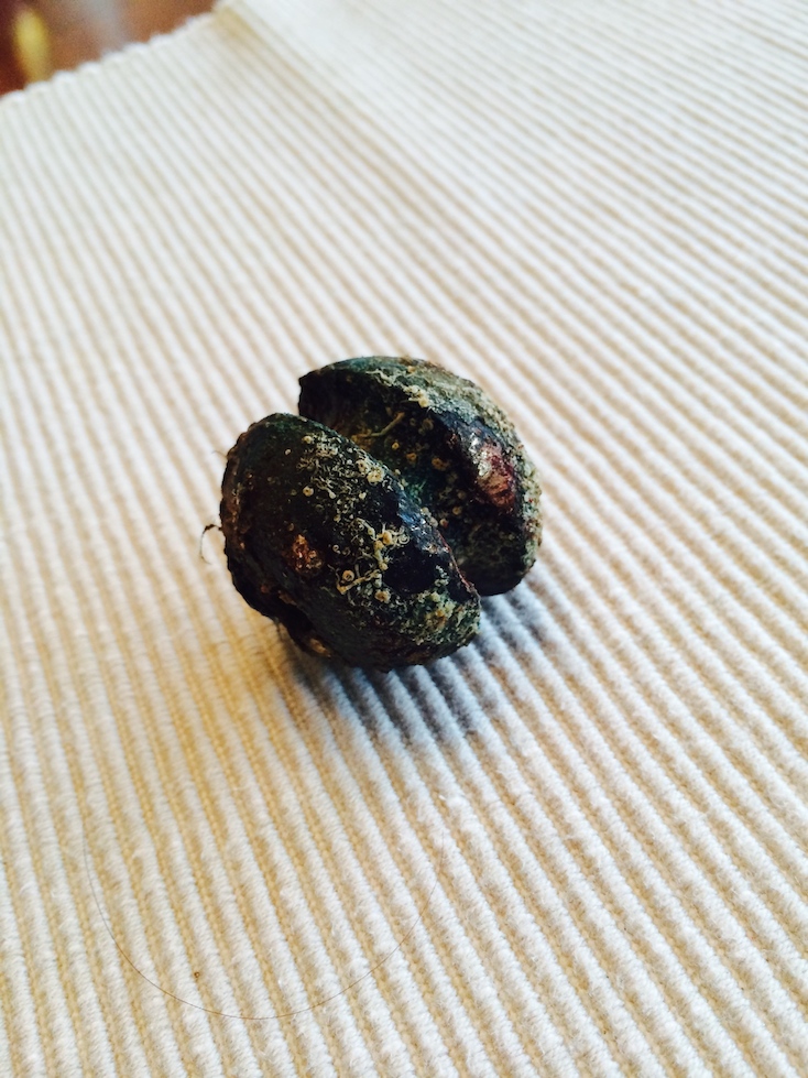 Volcano ball before.jpg