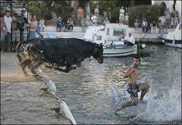 WalkOnWater.jpg