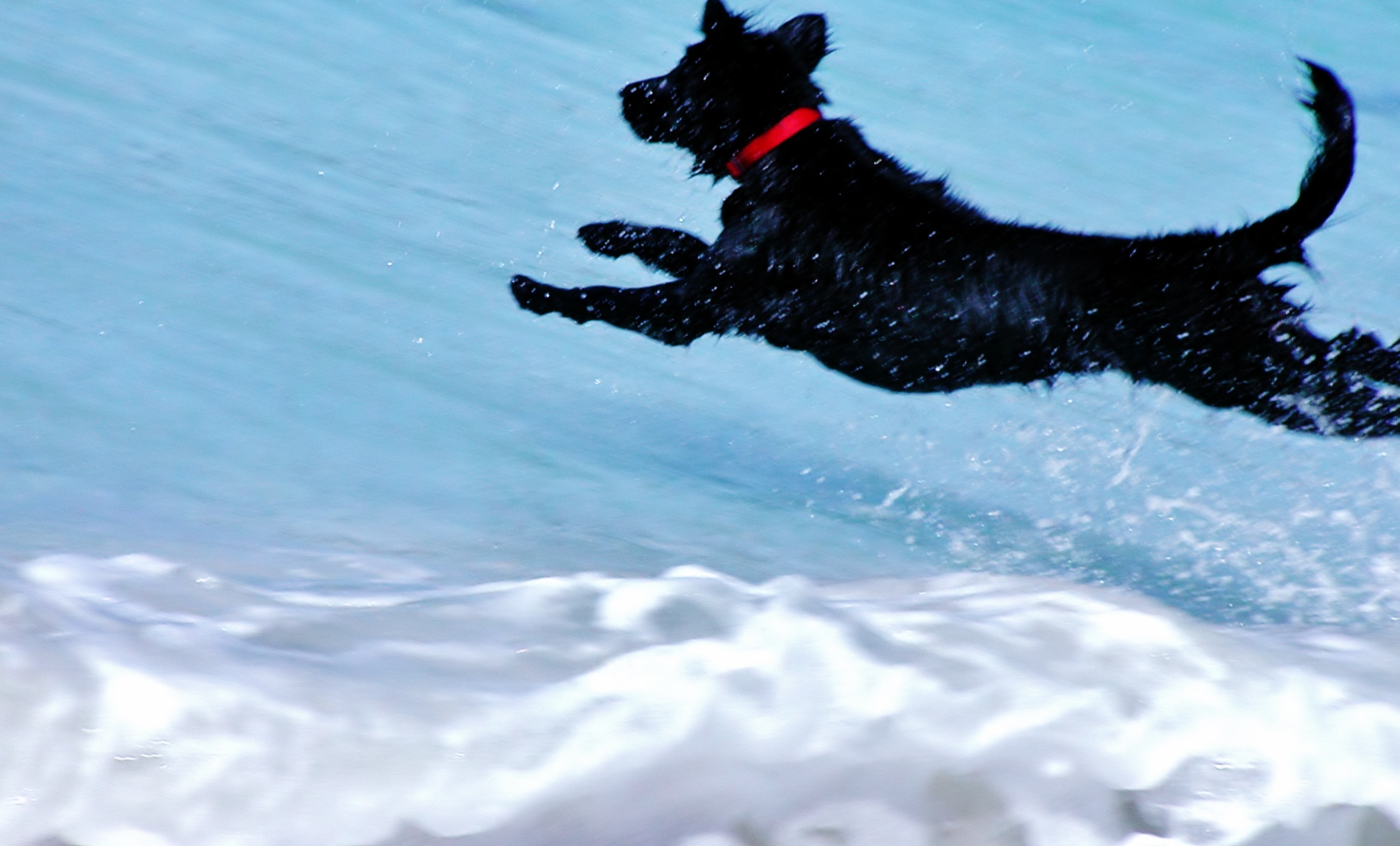 WAVE JUMPING ISLA CULEBRITA PR.jpg
