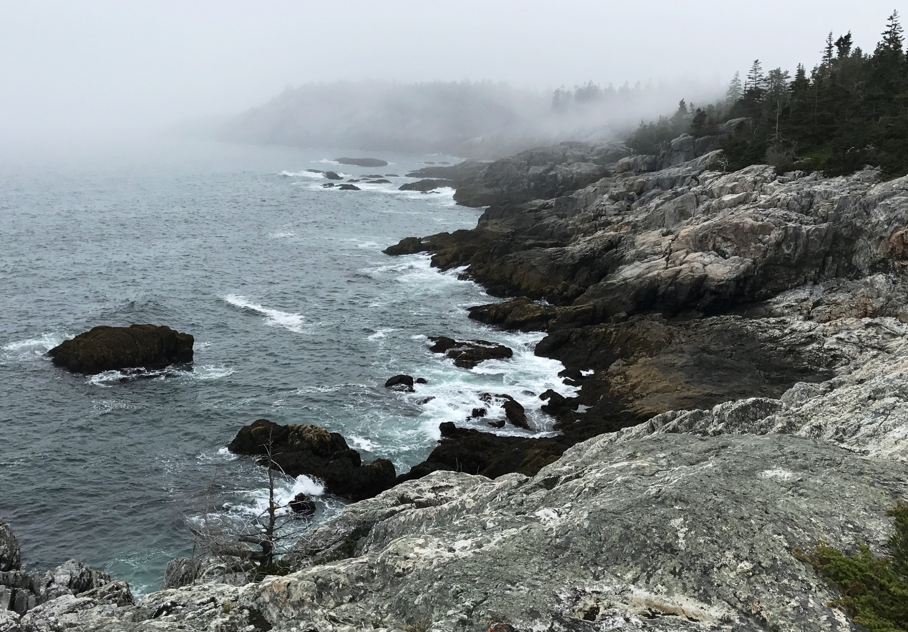 WesternEarcoast.jpg