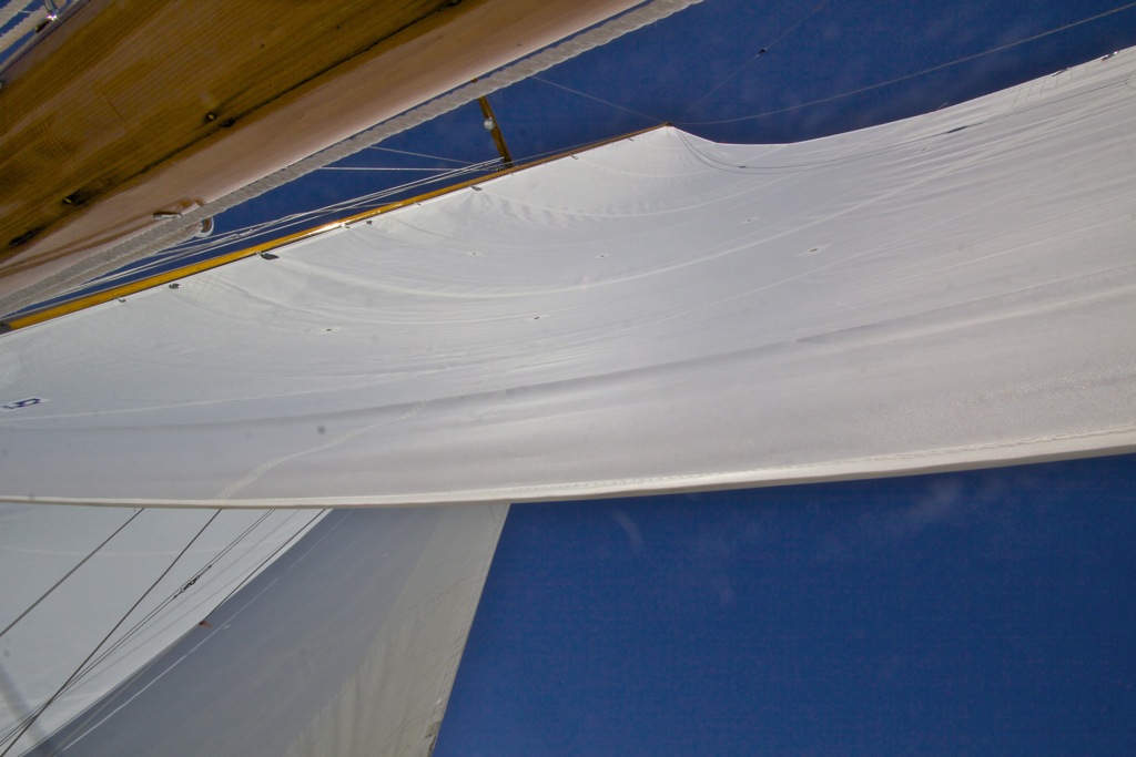 White sails, blue sky.jpg