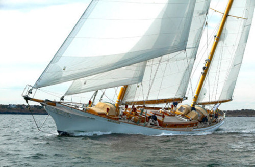 whitehawk_undersail.jpg