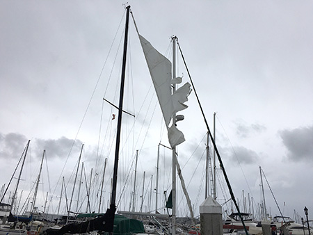 windy.jpg