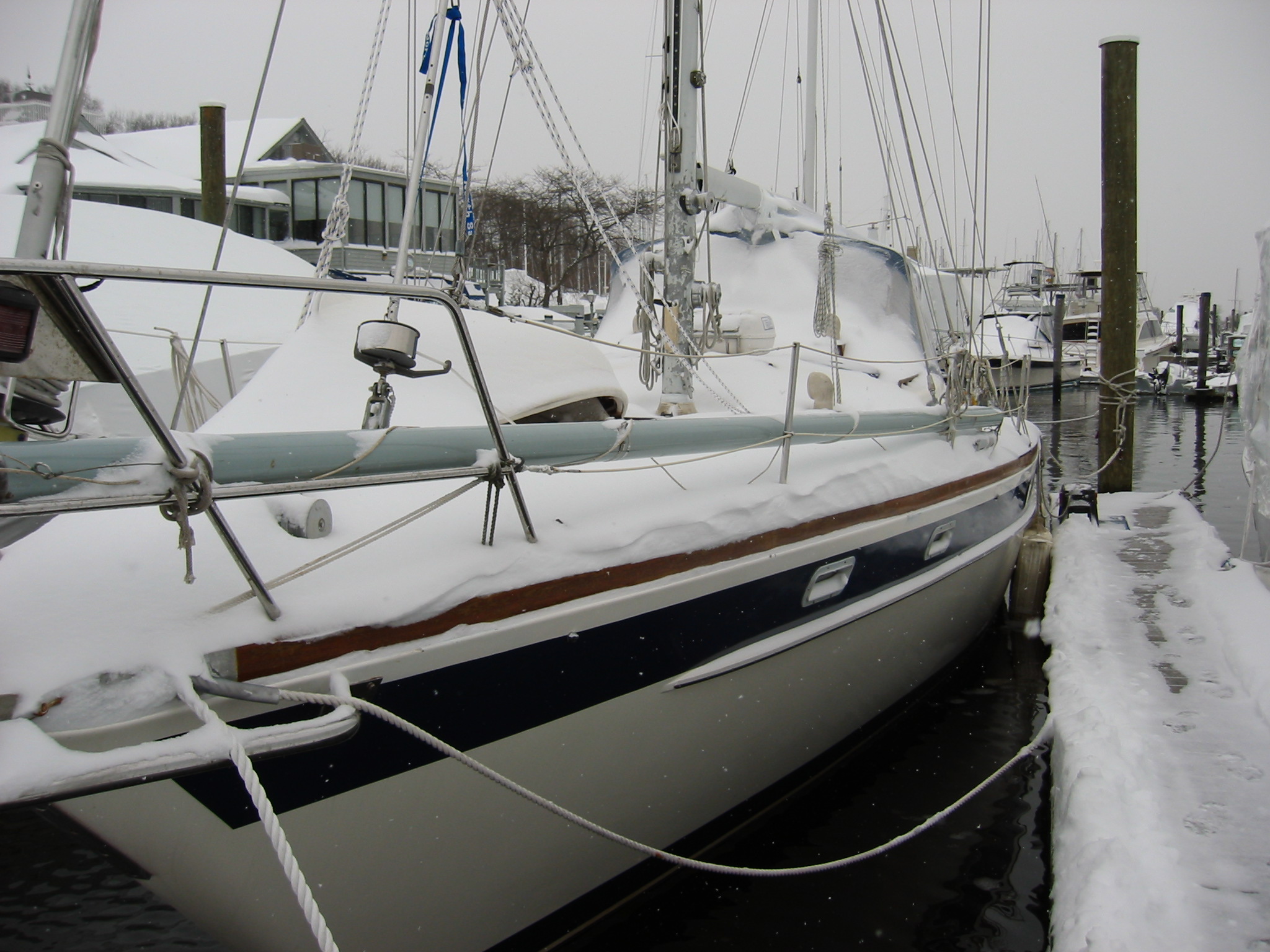 winter 2009.JPG
