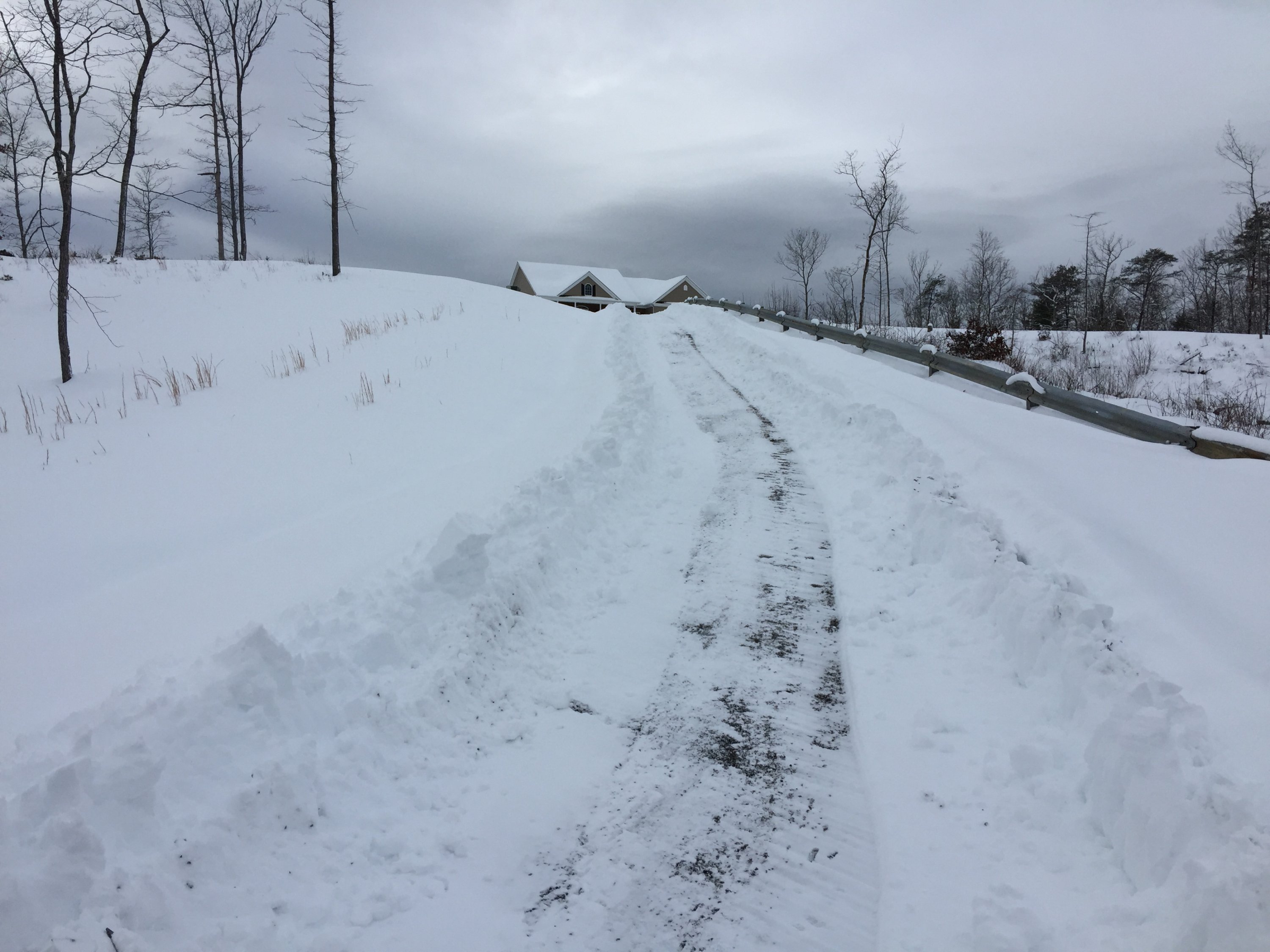 Winter DAy.jpg