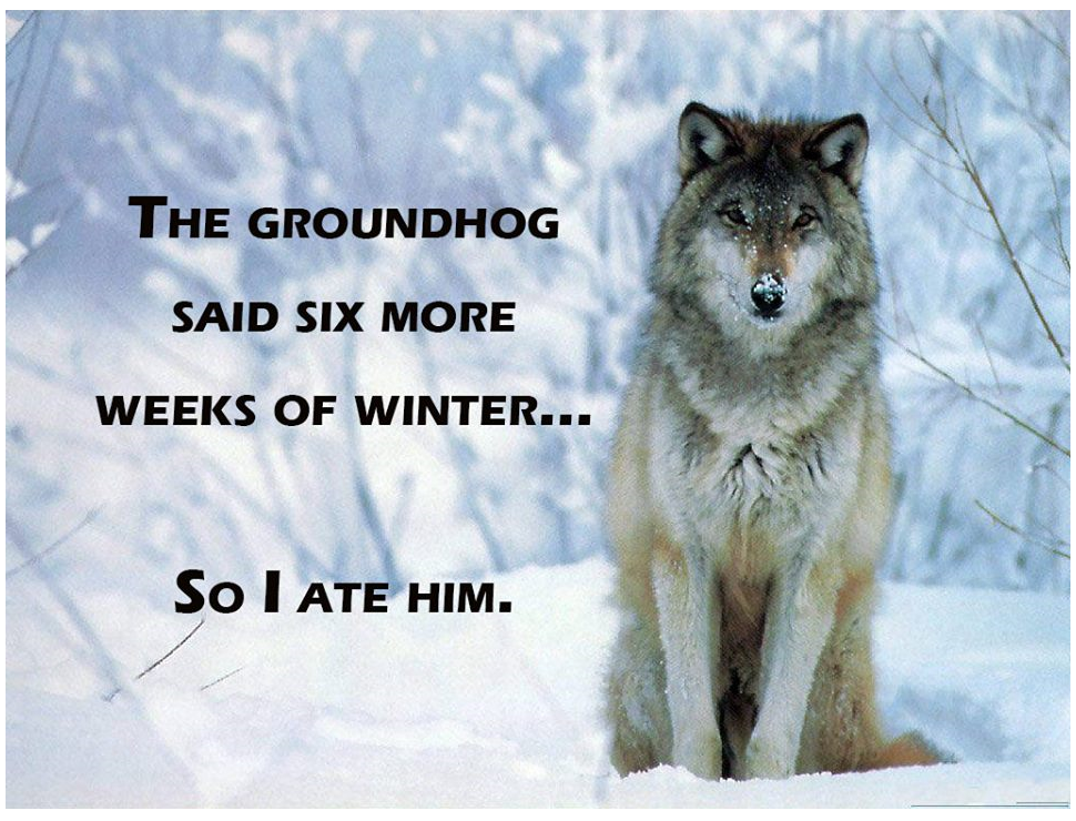 Wolf.png