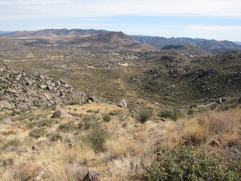 yarnell1.jpg