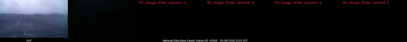 Z62A_2018_10_09_1210.jpg
