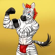 Zebra.jpg
