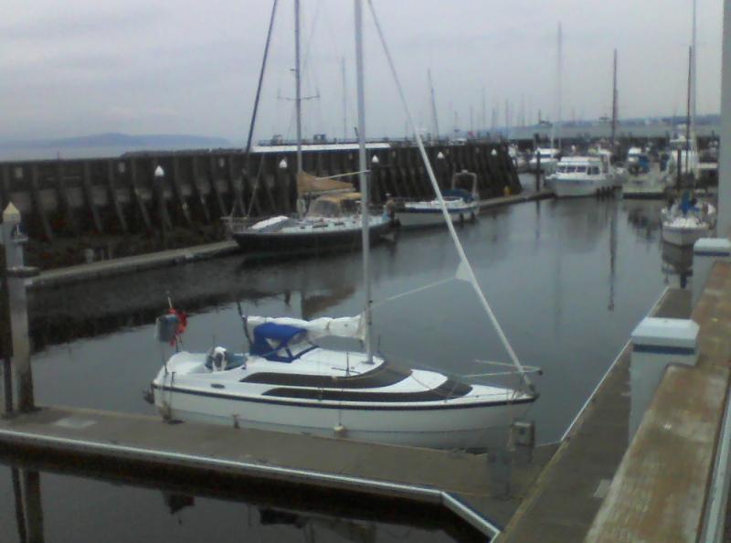 1.valhalla.edmonds.marina.3.10.13