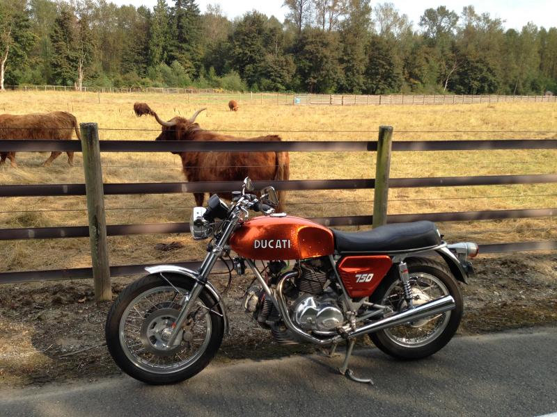 1972 Ducati GT 750