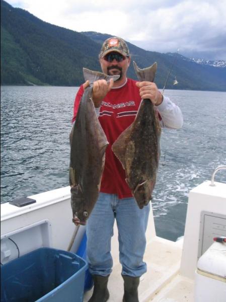 2 nice halibut