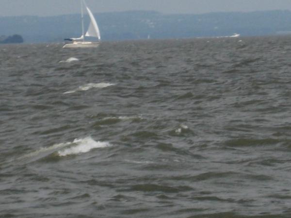 20-25 Knots of wind on the Chessy (again the the background our best friends in their O'Day 31)