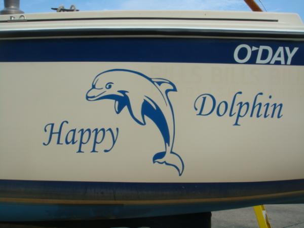 2011 Summer &quot;Happy Dolphin&quot; Mylar application.  Easy and reasonable!