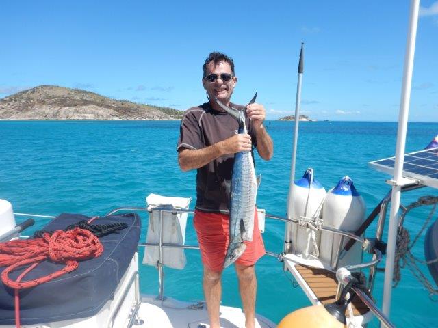 31 A Spanish Mackerel caught of L Is.