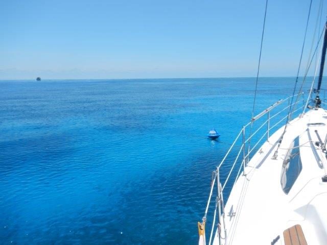 43 Moored up at Flynn Reef out from Cairns Outer Reef