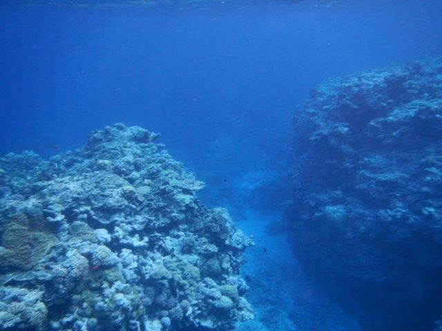 6 Cod Hole outer reef out from Lizard Island