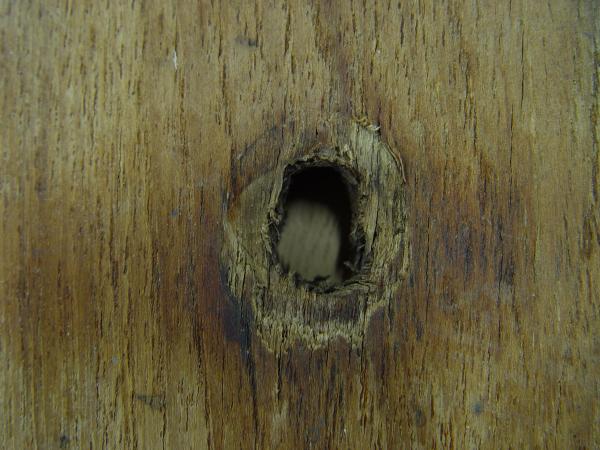 A typical elongated chain plate bolt hole on the starboard bulkhead ...