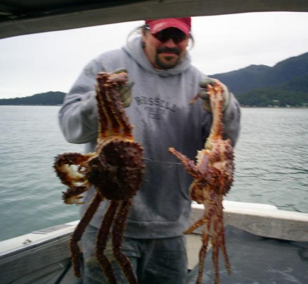 Alaskan king crabs