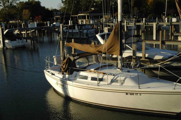 Alcyone in Harbor