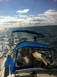 Ally at the Helm