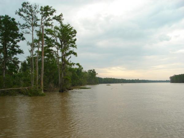 Anchorage at Bayou Chene