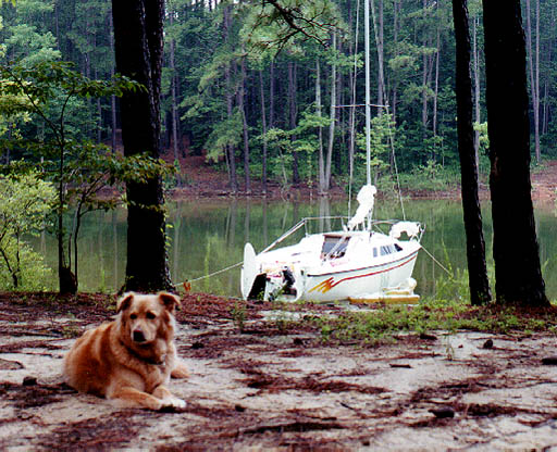 At camp with my dog Sally