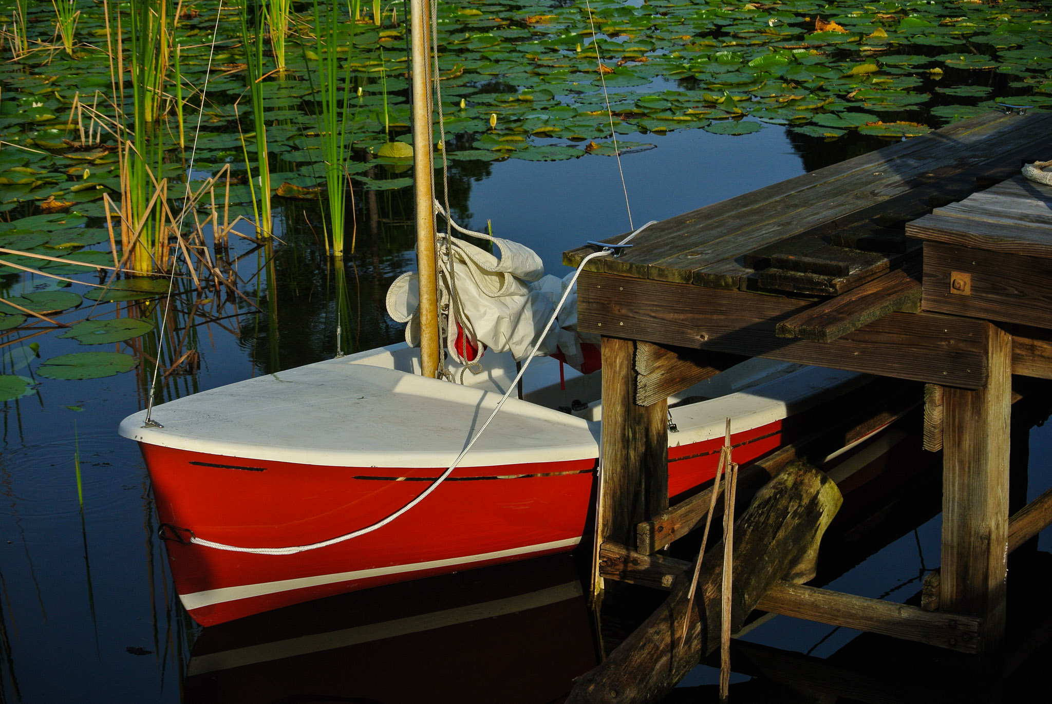 At the Dock