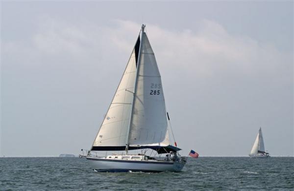 Bay Sailing - September 2007