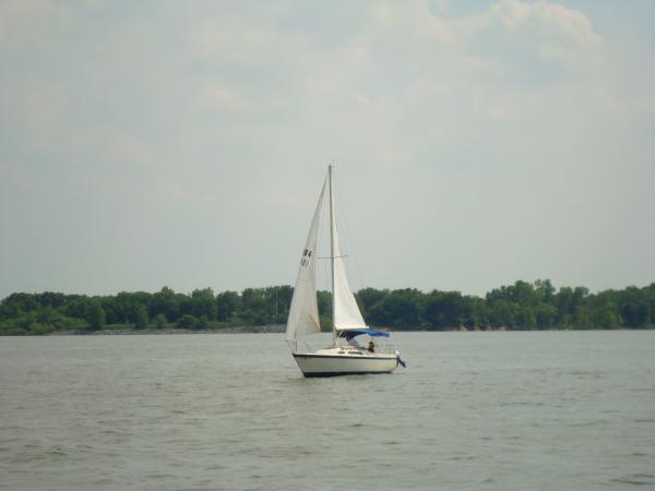 Beating back to the marina
