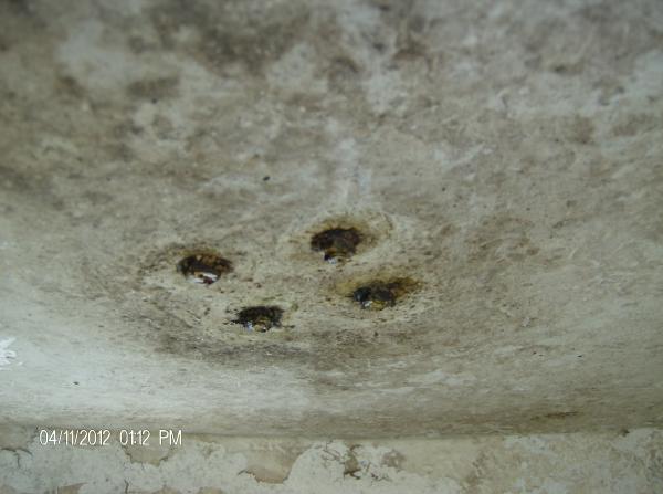 before and after pictures 045