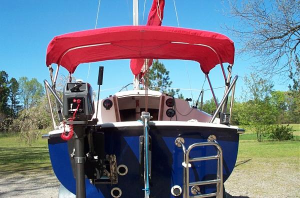 Bimini and swim ladder