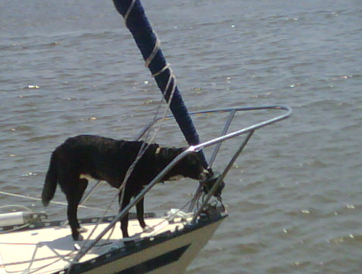 Blessing of the boats 09