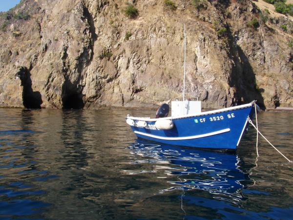 blue bell sailboat