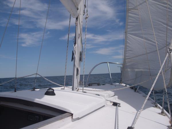Boomer on Potomac