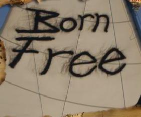 Born Free