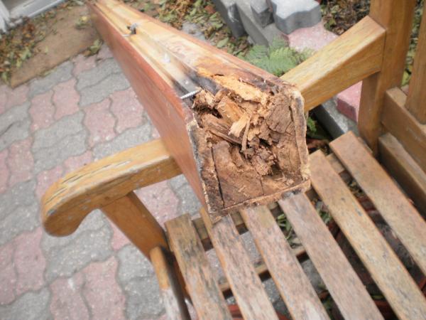 Bottom of mast post, very punky.  Only the teak trim was keeping the post in place.  Judging by the amount of silicon in the head, the shower water was the culprit