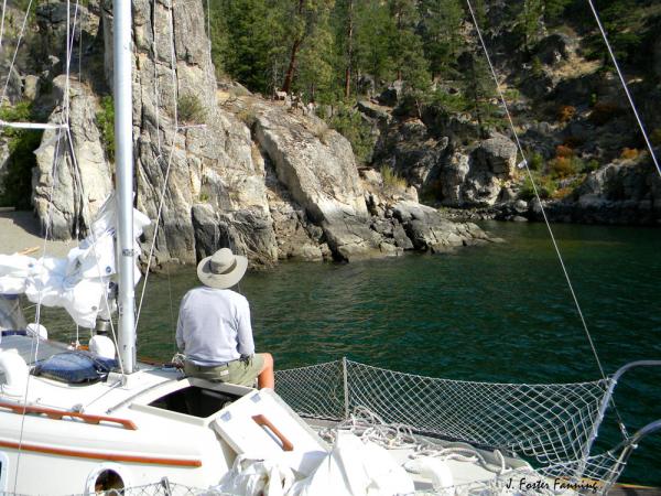 Buddy boat skipper sitting on the foredeck of BLUE HERRON, a Kent Ranger 26, watching the Big Horn sheep in a nearby cliff side in the Palisades Beach anchorage, Lake Roosevelt.