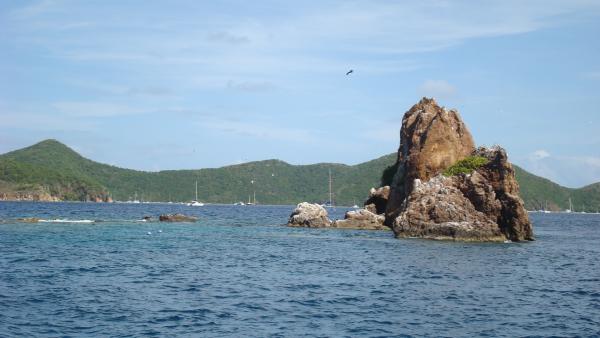 BVI 2009 Indians