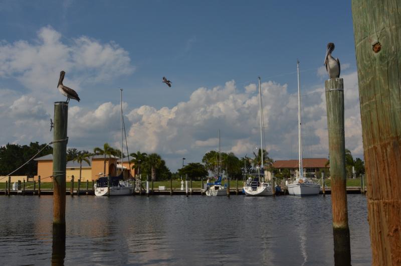 Caprison at Burnt Store Marina, Florida. She's been there many times and is always the smallest by far.