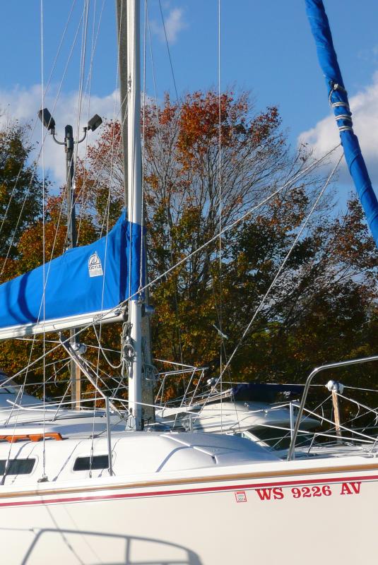 cat 25 sailboat