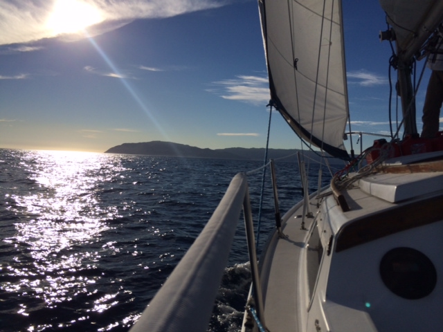 catalina in sight